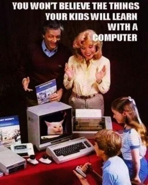 kids learn cats with computer.jpg